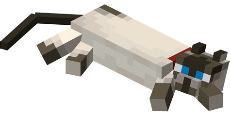 File:Lying down Siamese Cat with Red Collar.png - Minecraft Wiki，最详细的官方我的世界百科