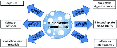 Micro- and nanoplastics – current state of knowledge with the focus on oral uptake and toxicity ...