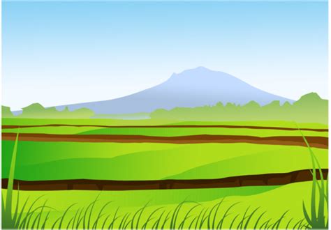 Rice Field Vector Landscape 111970 Vector Art at Vecteezy