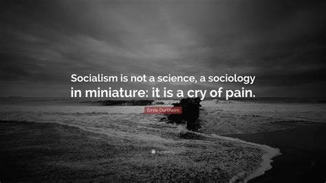 Émile Durkheim Quote: “Socialism is not a science, a sociology in miniature: it is a cry of pain.”