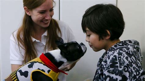 Therapy dogs are helping children with autism stay calm at the dentist's office - ABC News