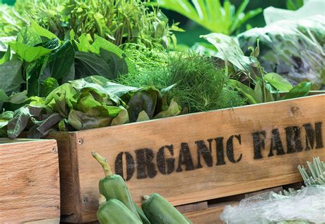 Why is the latest technology used in organic farming? - MonsterDare