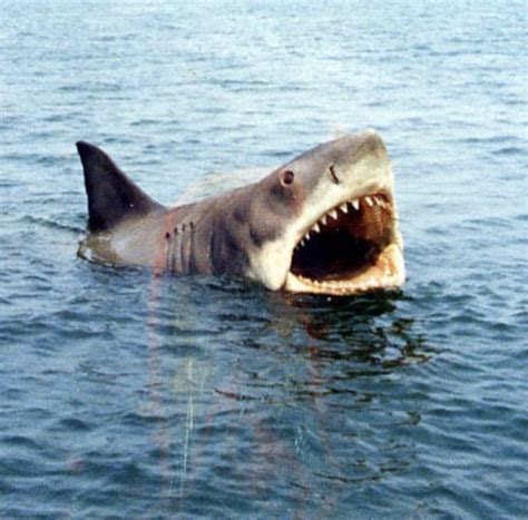 Jaws (1975)