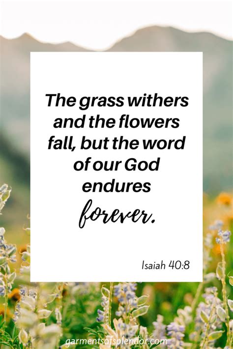 38 Encouraging Bible Verses About Flowers (with Free Printable) - (2024)