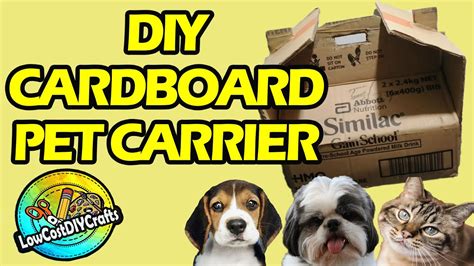 DIY Cardboard Pet Carrier || DIY Pet Carrier - YouTube