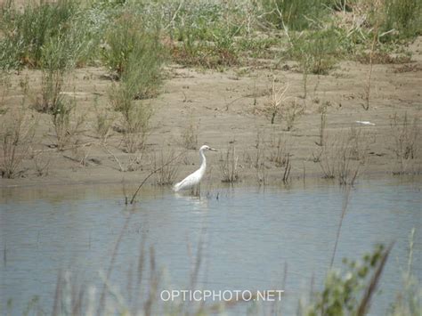 Lake of the Woods State Wildlife Area, a California State Wildlife Area located near Antelope ...