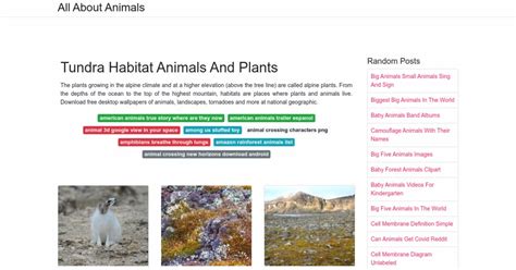 Tundra Habitat Animals And Plants