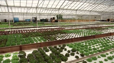 Aquaponic farming saves water, but can it feed the country? - YouTube