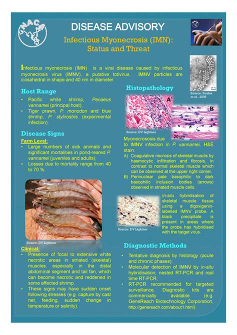 Disease advisory: Infectious myonecrosis