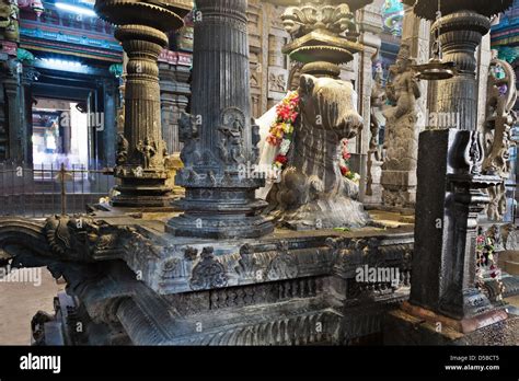 Cow inside Meenakshi Temple, Madurai, Tamil Nadu, India Stock Photo - Alamy