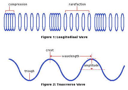 Amplitude of Longitudinal and a Transverse Waves - Waves and the ...