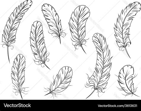 Outline bird feather icons Royalty Free Vector Image