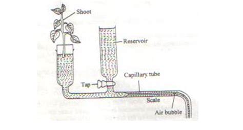 Form 2 Biology End of Term 3 Exam 2021 - 740