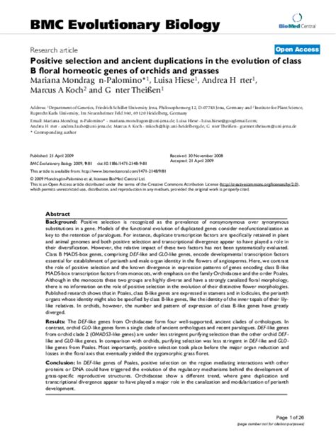 (PDF) Positive selection and ancient duplications in the evolution of class B floral homeotic ...