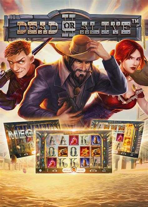 Dead or Alive 2 by NetEnt detailed slot review | PaperUnicornGames