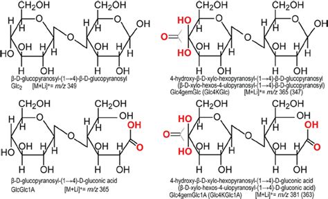 Cellobiose Structure