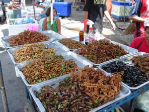 Entomophagy: Reduce Poverty by Eating Bugs? - The Borgen Project