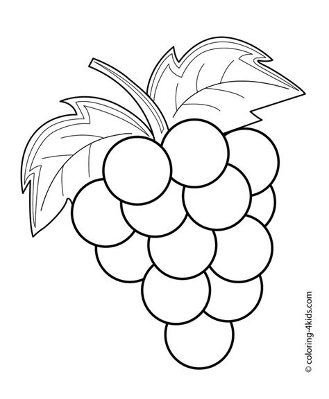 Pencil Drawing Grapes at GetDrawings | Free download