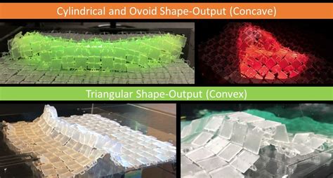 Examples of cylindrical and ovoid shape-output when links are on top... | Download Scientific ...