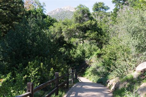 On the Grid : Santa Barbara Botanic Garden