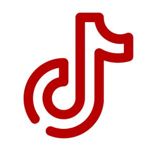 Red Tiktok logo (png icon)