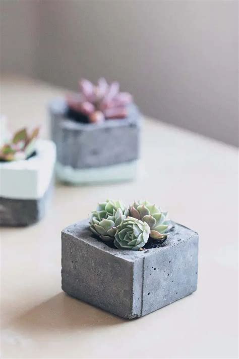 28 Creative Indoor Succulent Planter Ideas to Brighten Your Space