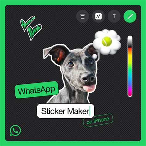 WhatsApp’s custom sticker maker on iOS is here to spice up your chats - The Verge