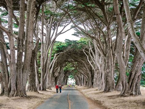 Point Reyes Hiking: The Best Outdoor Tour from San Francisco — Adrift Aesthetic