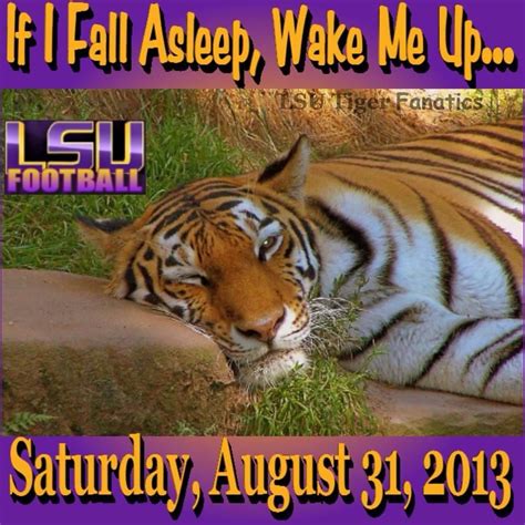 GEAUX TIGERS! | Lsu football, Lsu, Geaux tigers