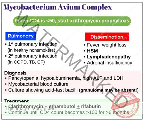 Mycobacterium avium complex (MAC) - Medicine Keys for MRCPs