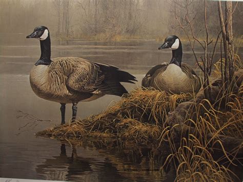 Art Country Canada -ROBERT BATEMAN Canada Geese Nesting Offset limited edition print