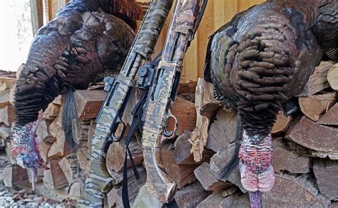 Best Turkey Hunting Shotguns of 2024 | Outdoor Life