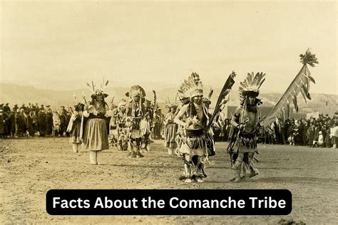 10 Facts About the Comanche Tribe - Have Fun With History