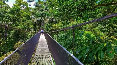 Arenal Hanging Bridges Tour - Mistico Park - Eagle Tours