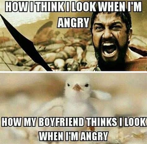 51 Anger Memes for Dealing with Pent Up Rage - Happier Human