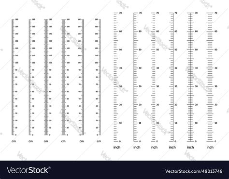 Height scale for children with gradation from 0 Vector Image