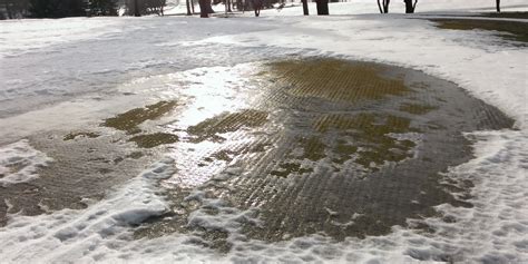 How Does Ice Damage Affect Your Lawn?