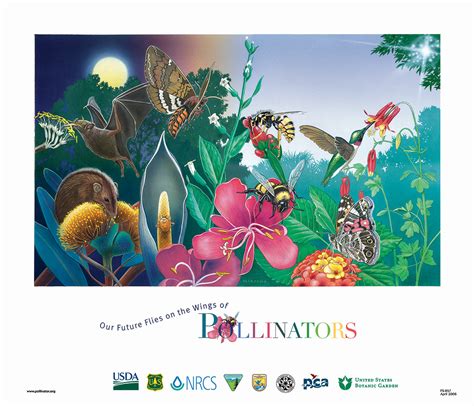 Why is Pollination Important? | US Forest Service