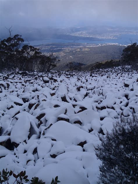 Mt Wellington Snow | walktassie