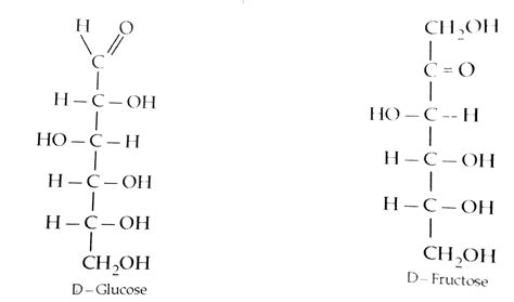 What is the basic structural difference between glucose and fructose