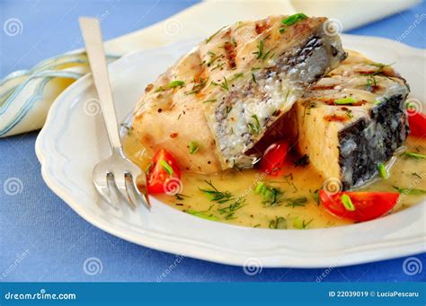 Grilled fish fillet stock image. Image of food, lose - 22039019