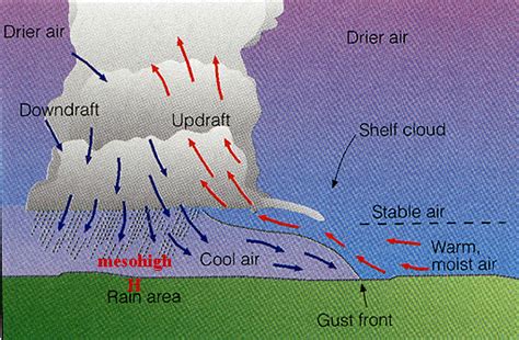 Severe Storms - the Mesohigh and gust front