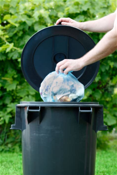 How to get Rid of Maggots in Trash Can - Pest Control - TalkLocal Blog — Talk Local Blog