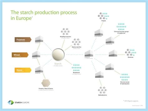 The production process of starch