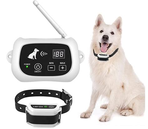 The Most Comprehensive Wireless Dog Fence Reviews 2020 | Herepup