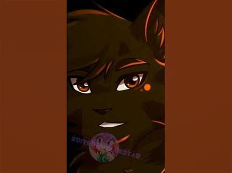 brambleclaw and tawnypelt edit - YouTube