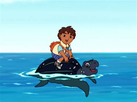 Save the Sea Turtles | Go, Diego, Go! Wiki | Fandom