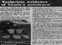 The Australian Yowie Research Centre - Yowie Newspaper Article Images ...