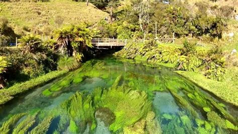 Te Waihou Walkway and Blue Spring Putaruru New Zealand ** only 30 minutes from Rotorua ...