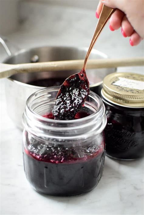 Black Raspberry Jelly Recipe - newbritawaterchiller